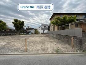 概観画像