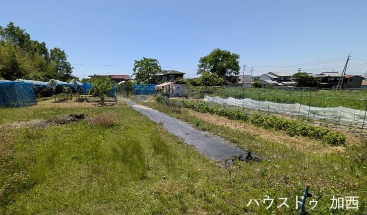 ☆畑(971㎡)
