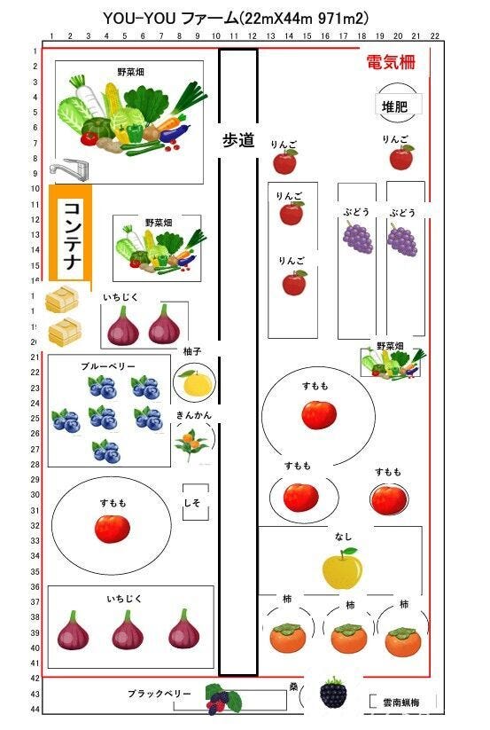 ☆畑のレイアウト 季節の野菜や果物を丹精込めて栽培されています♪