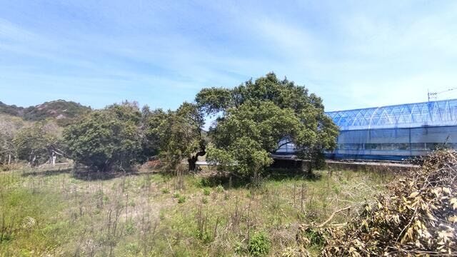 ★三里小学校区★