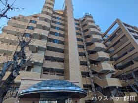 概観画像
