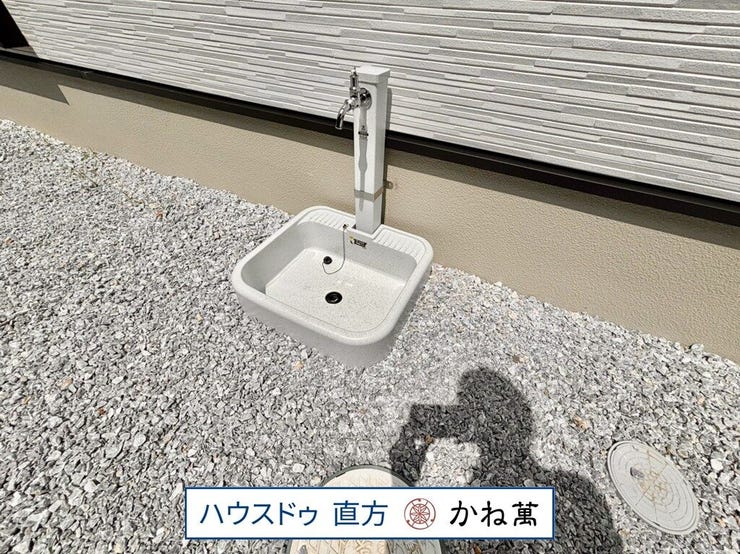2026.7.9撮影