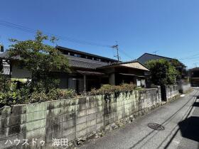 概観画像