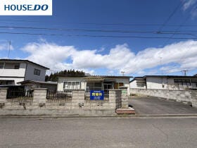 概観画像