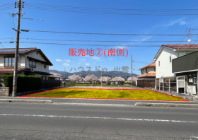 概観画像