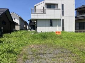 概観画像