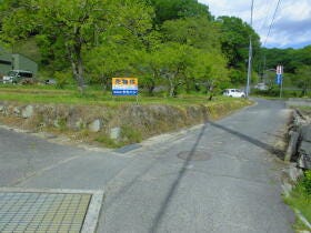 概観画像