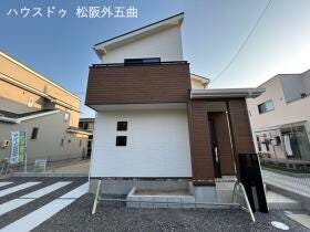 概観画像