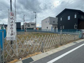 概観画像