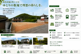 概観画像