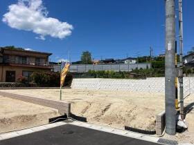 概観画像