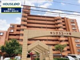 概観画像
