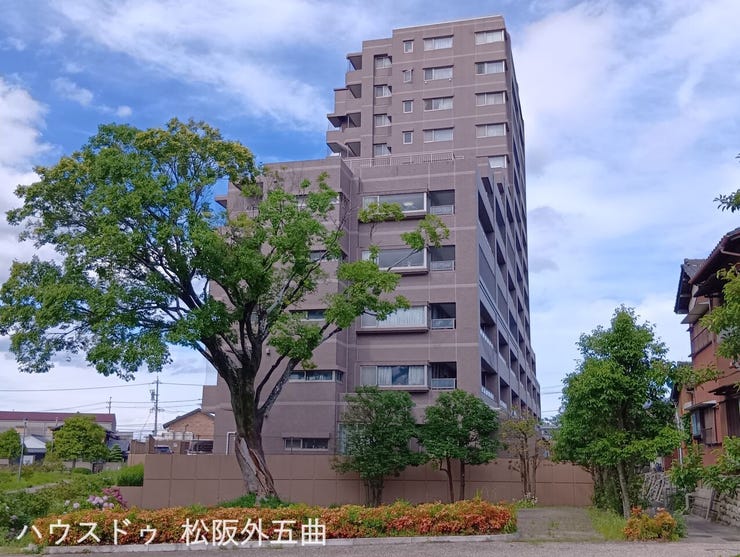 南西から北東に向かって撮影