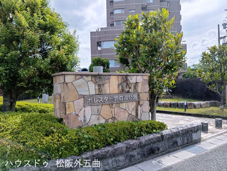 北東から南西に向かって撮影