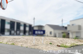 概観画像
