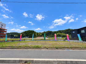 概観画像