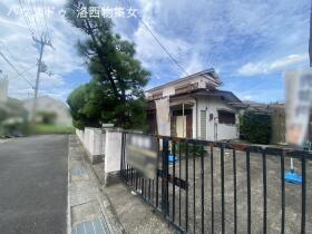 概観画像