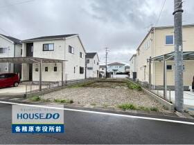 概観画像