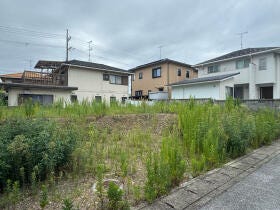 概観画像