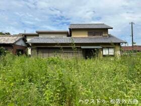 概観画像
