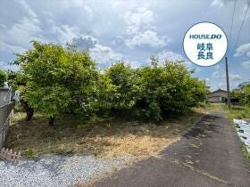 概観画像