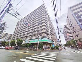 概観画像
