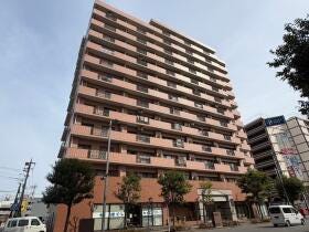 概観画像