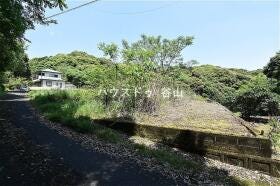 概観画像