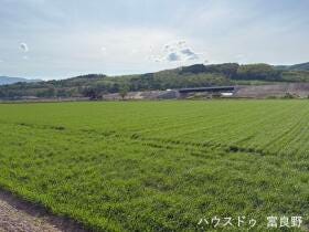 空知郡中富良野町字中富良野鹿討農場