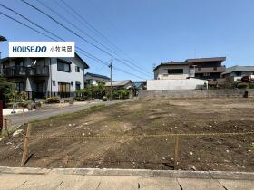概観画像