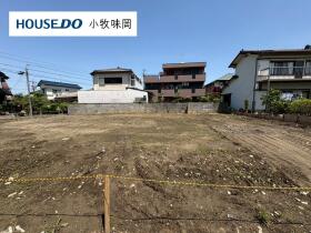 概観画像