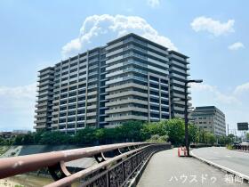 概観画像