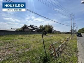 概観画像