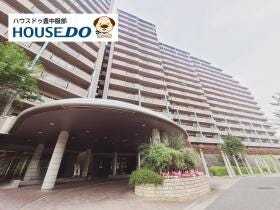 概観画像