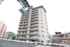 概観画像