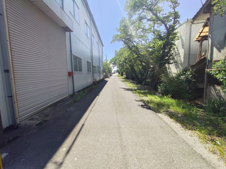 北側道路 道路幅約6m(西向き)