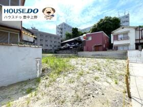 概観画像