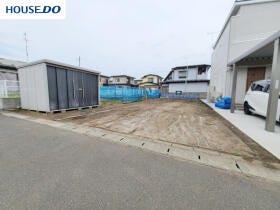 概観画像