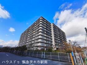 概観画像