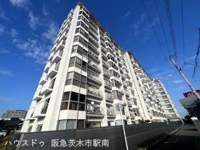 概観画像