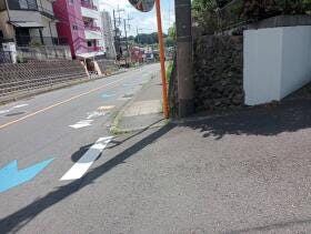 概観画像