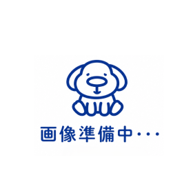 概観画像