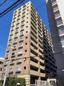 概観画像