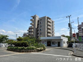 概観画像