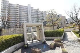 概観画像