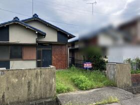概観画像