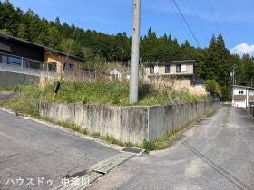 概観画像