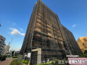 概観画像
