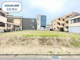 概観画像