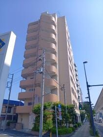 概観画像